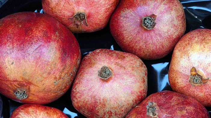 Sevip de ayıklamaya üşenen çok: Bu yöntem sizi zahmetten kurtaracak 11